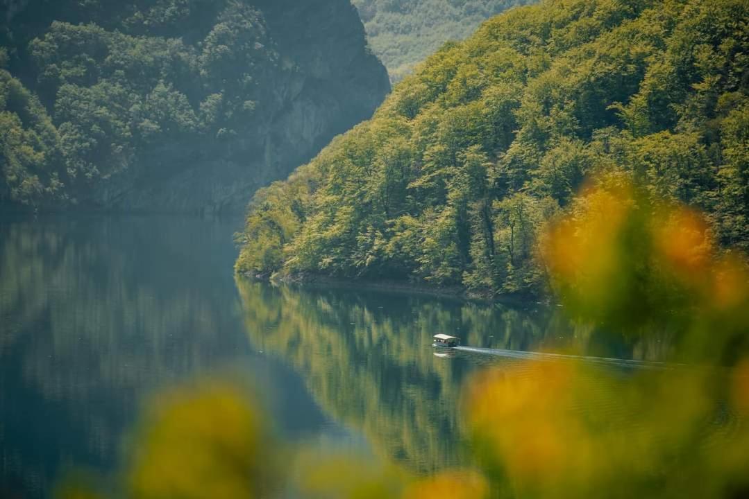 Apartman Andjela Plužine Exteriör bild